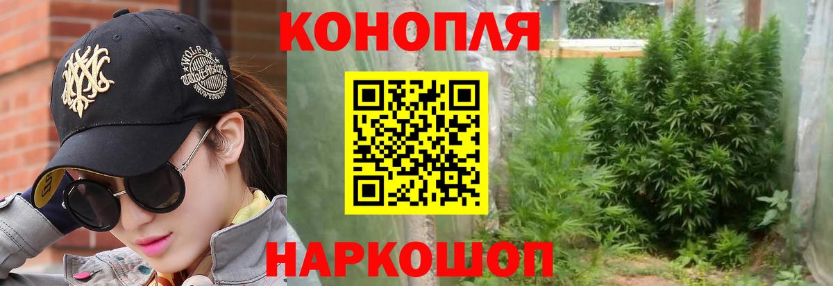 Бошки Шишки ГИДРОПОН Мирный