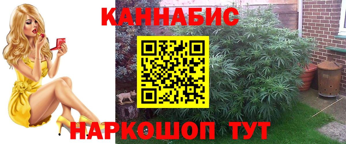Конопля план  Каннабис тримм  Вход с VPN  Мирный  МАРИХУАНА AK-47 